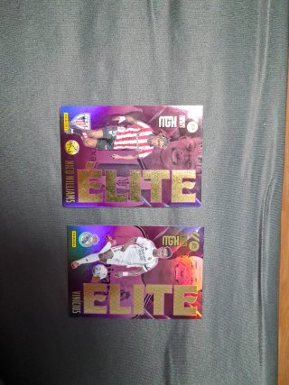 Cartas Panini Elite Nico Williams y Vinicius