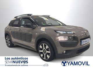 Citroen C4 Cactus PureTech 110 Feel Edition 81 kW (110 CV)