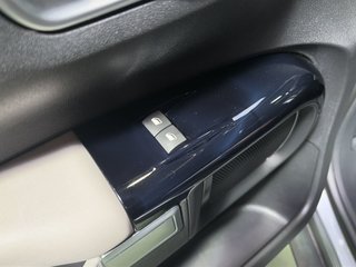 Citroen C4 Cactus PureTech 110 S&S Shine 81 kW (110 CV)