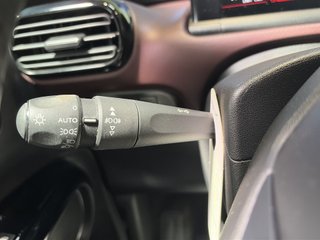 Citroen C4 Cactus PureTech 110 S&S Shine 81 kW (110 CV)