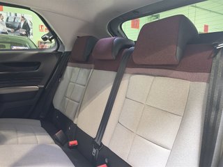 Citroen C4 Cactus PureTech 110 S&S Shine 81 kW (110 CV)