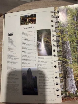 Rutas Por Los Hayedos de España