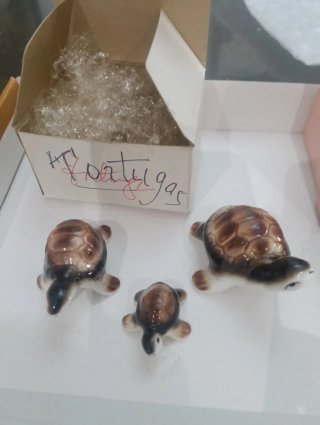 Joyero Almeja con Figuras Tortugas