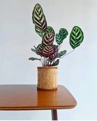 Mesa auxiliar / Camarera Mid Century | Francia 60s