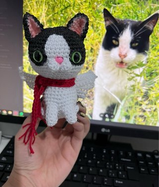 Gatitos tejidos a crochet personalizados