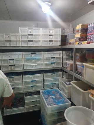 Cámara frigorífica caliente y frío Medida 4mX4m
