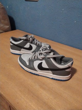 Zapatillas Nike Grises y Azules