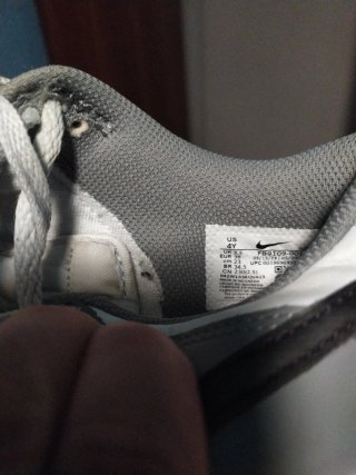 Zapatillas Nike Grises y Azules