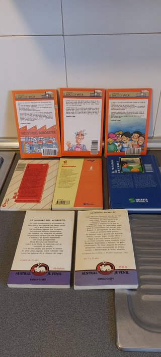 Lote de 8 Libros Infantil y Juvenil / Clásicos de