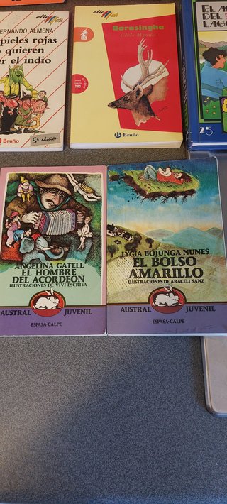 Lote de 8 Libros Infantil y Juvenil / Clásicos de