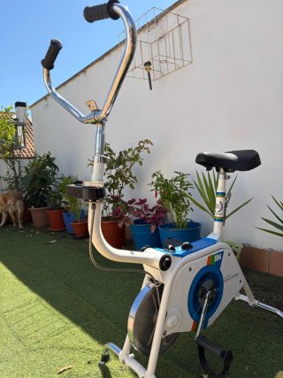 Bicicleta Estática BH Vintage