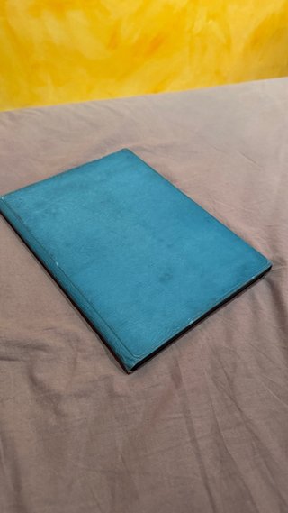 iPad Pro 10.5 A1709 + Apple Pencil + Funda