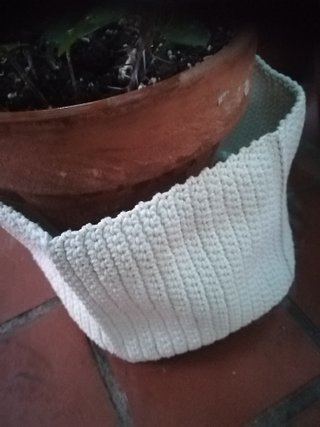 Planta en maceta de hilo