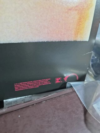 Vinilo LP Psycho Candy The Jesus and Mary Chain