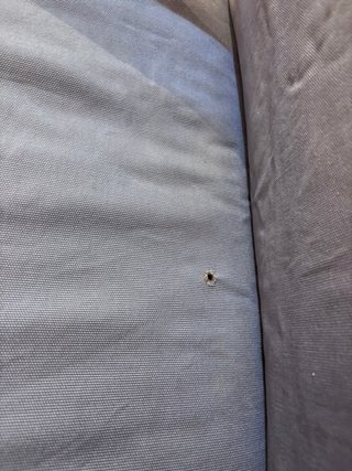 Sillón IKEA POÄNG madera y cojín azul