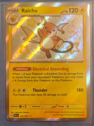 Raichu ✨🇬🇧✨