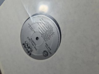 Vinilo LP The Tell-Tale Hearts