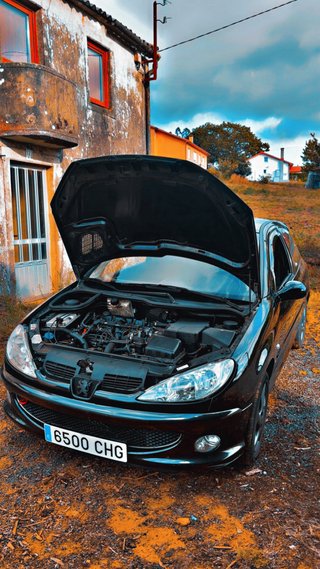 Peugeot 206 2.0 hdi