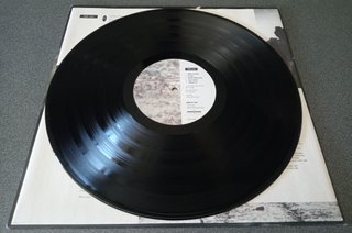 Vinilo LP Rubicon