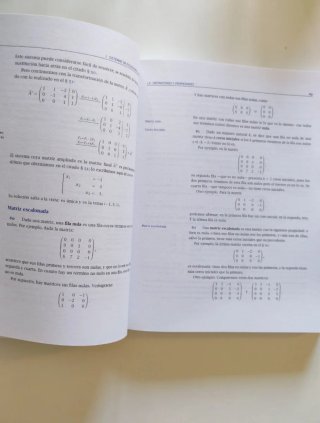 Temas de álgebra lineal para administración y d...