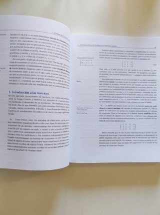 Temas de álgebra lineal para administración y d...