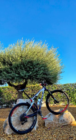 29"Mountain bike full suspensión carbon