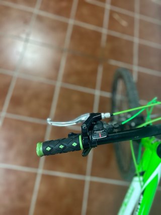 Bicicleta de montaña Wolfbike verde