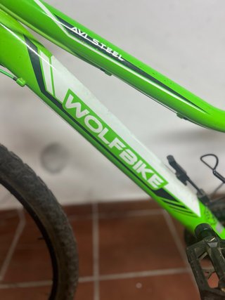Bicicleta de montaña Wolfbike verde