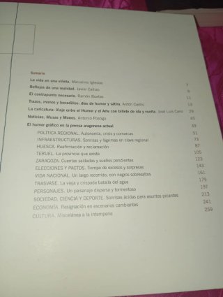 El humor gráfico en la prensa aragonesa actual