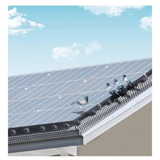 Malla Antipalomas Solar Negra  20cm x 30m