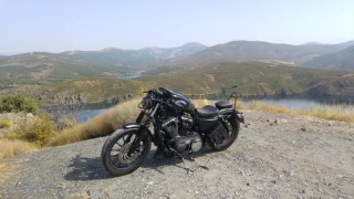 Harley Davidson Sportster Iron 883 Limitada A2