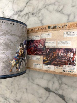 Guide Monster Hunter Rise Switch JP