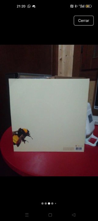 Vinilo Flower Boy