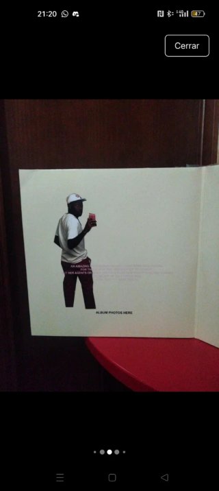 Vinilo Flower Boy