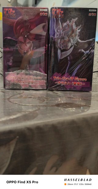 Figure DANDADAN duo