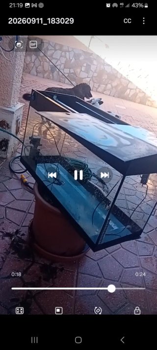 Acuario Negro y Transparente