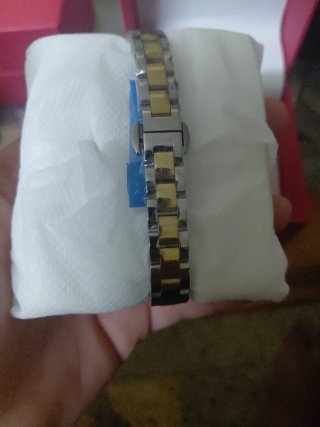 Reloj Pierre Lannier Dorado y Plateado