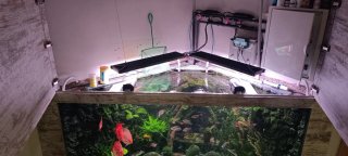 Acuario 500L completo
