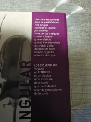 Los Escarabajos vuelan al atardecer.Maria Gripe.
