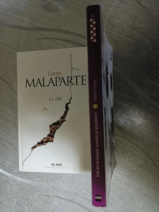 Los Escarabajos vuelan al atardecer.Maria Gripe.