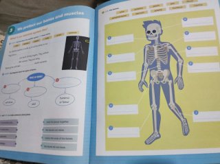 Natural and Social Science, 5 Primary, World Ma...