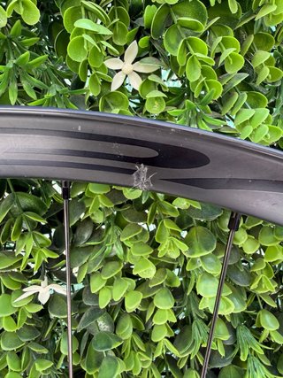 Rueda Delantera Roval Control Carbon