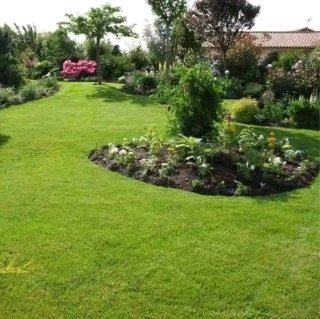 Servicios de Jardinería Hamad Barcelona