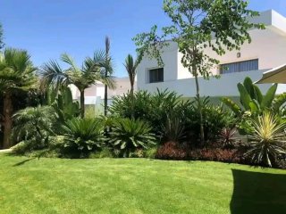 Servicios de Jardinería Hamad Barcelona