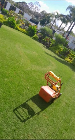 Servicios de Jardinería Hamad Barcelona