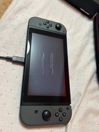 Nintendo Switch Lite Grey + accessori ecc...