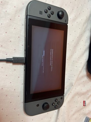 Nintendo Switch Lite Grey + accessori ecc...