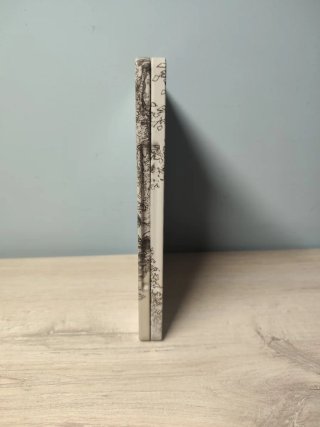 Steelbook Octopath Traveler II