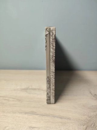 Steelbook Octopath Traveler II