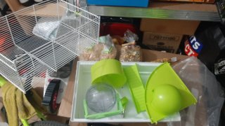 Jaula Hámster con Accesorios Verde